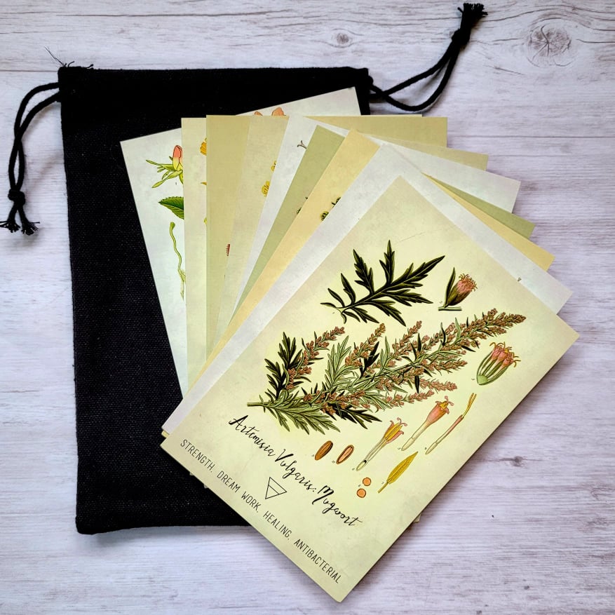 Vintage Plant Litho Card set of 9 in Pouch